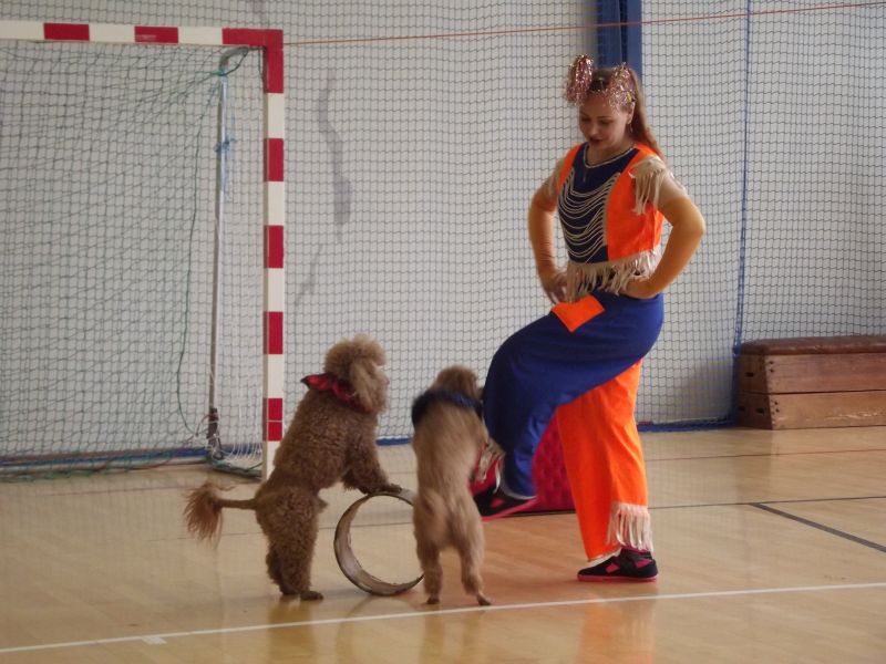 cyrk_44