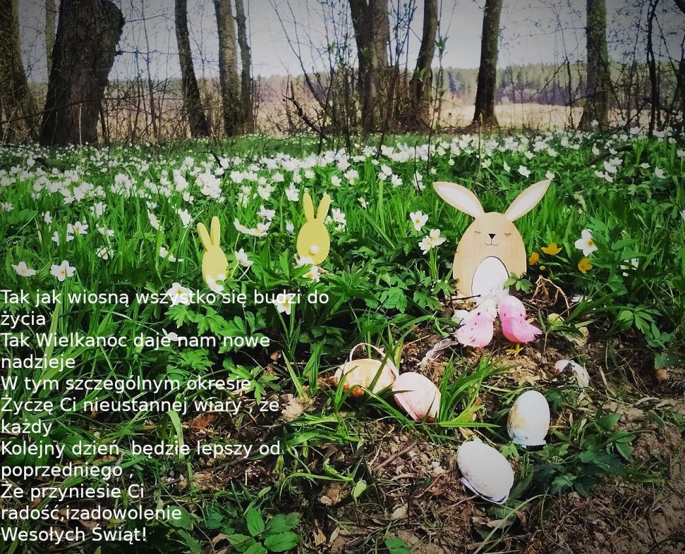 Pocztówka_01